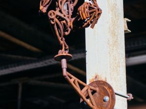 15 // Christian F. Schmit, Birdman